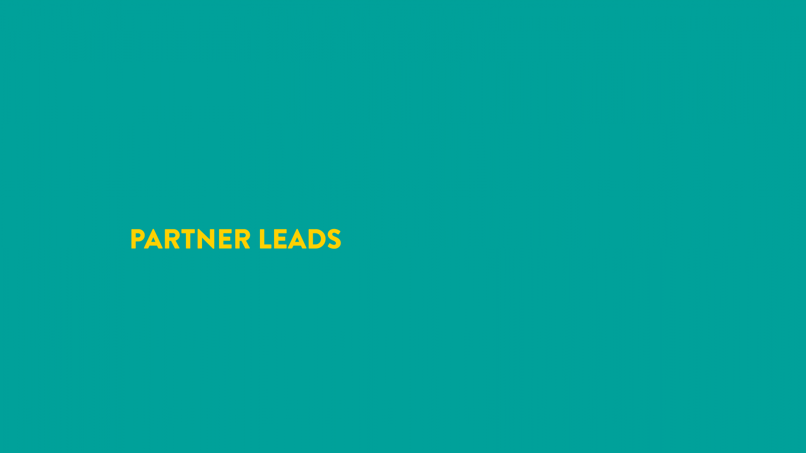 Partner Leads