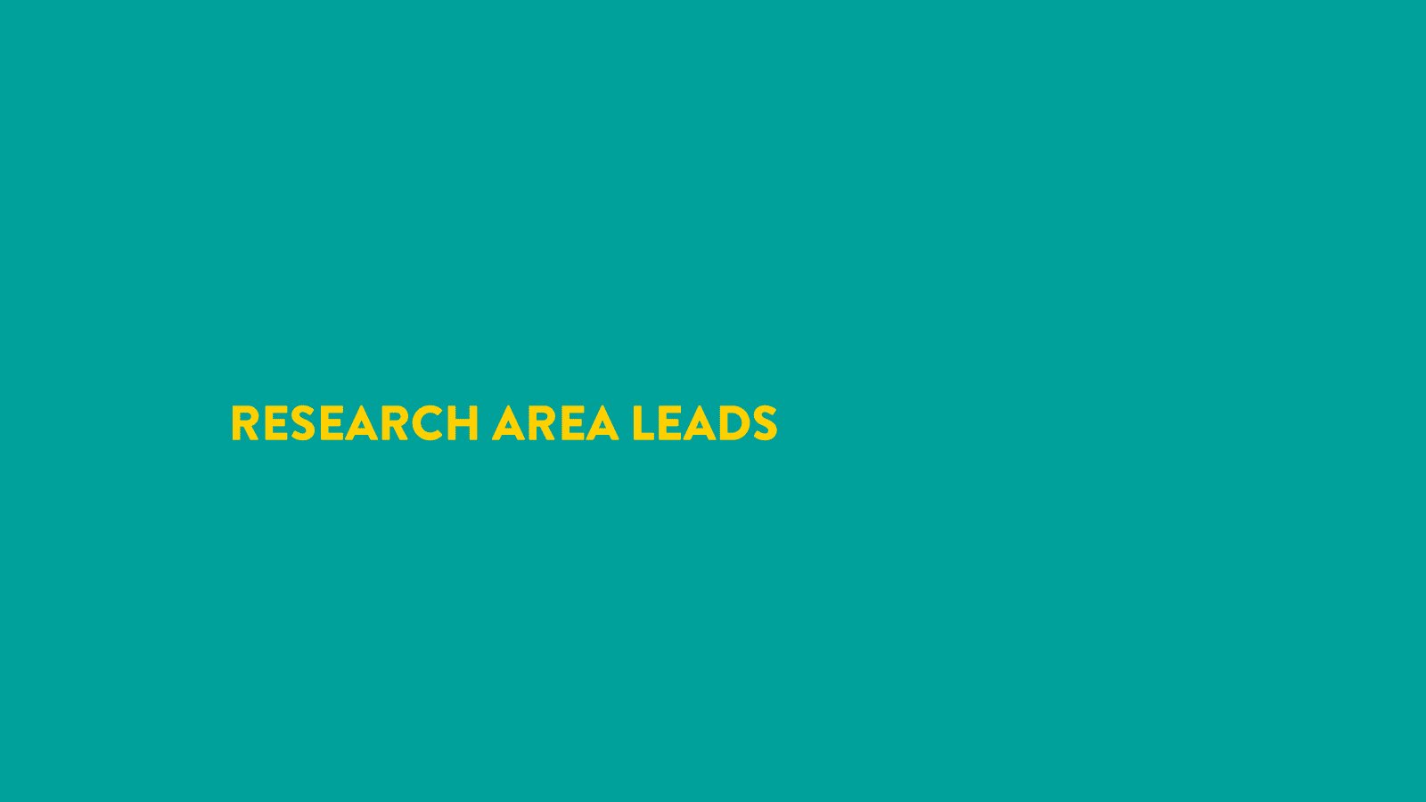 Research Area Leads