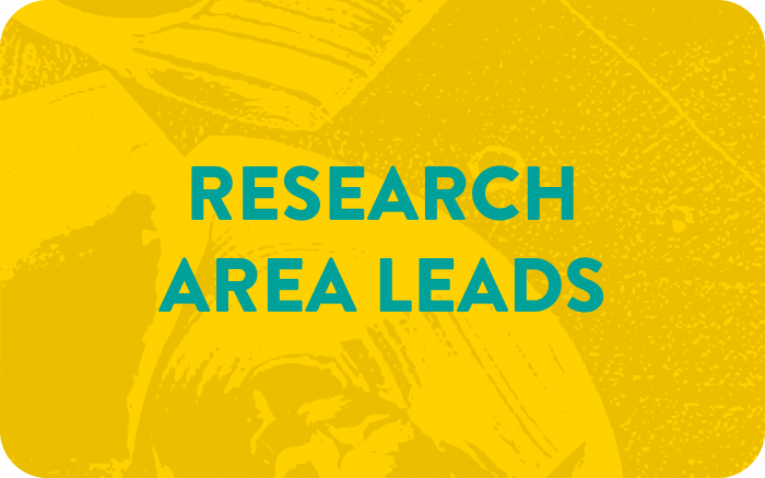 Research Area Leads