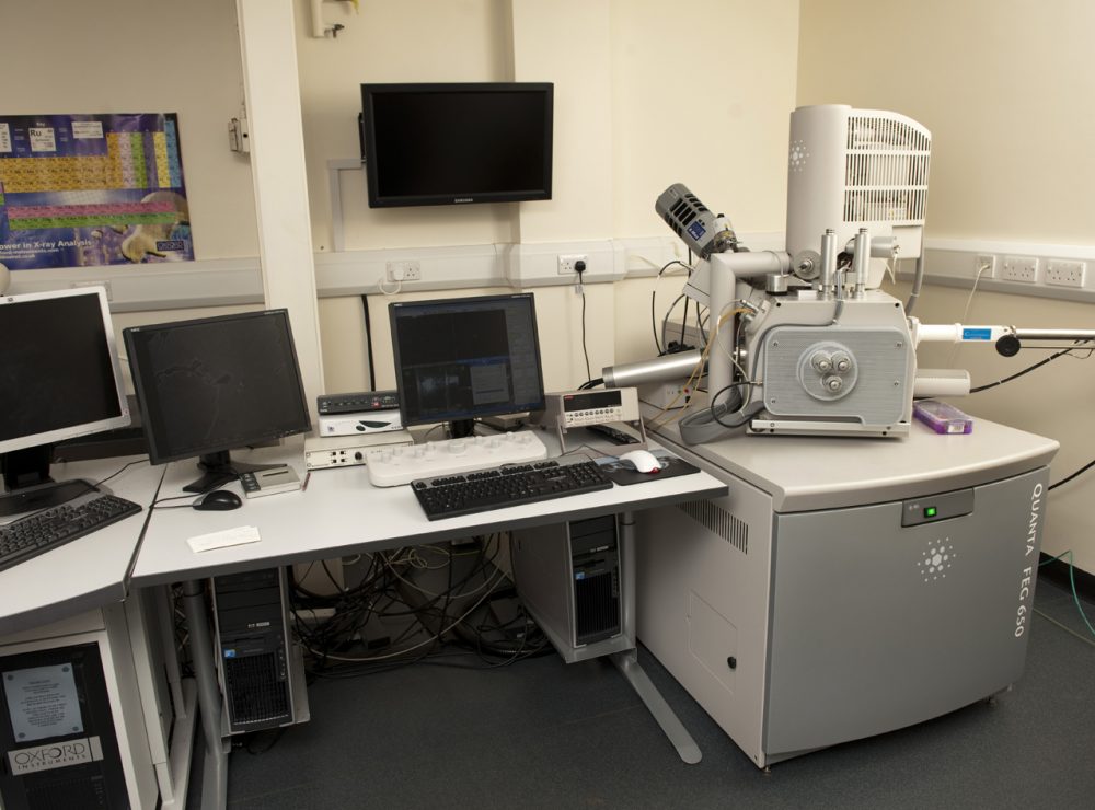 Quanta Scanning Electron Microscope