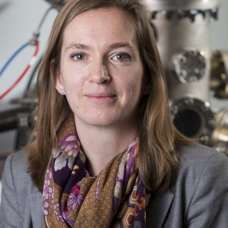 Professor Sandrine Heutz