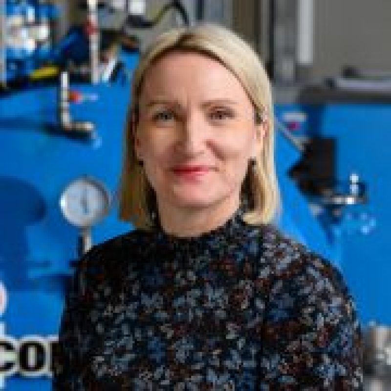 Dr Corrine Howse