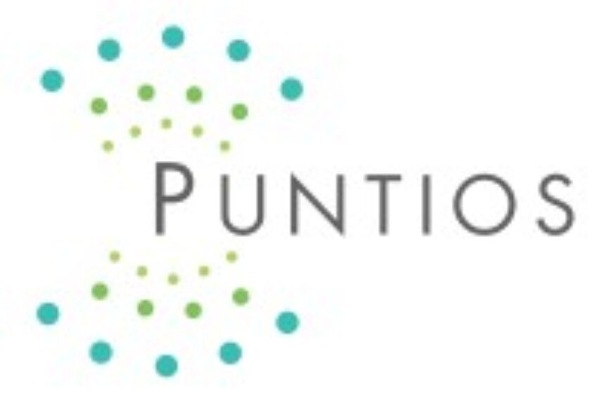 Puntios Ltd Logo